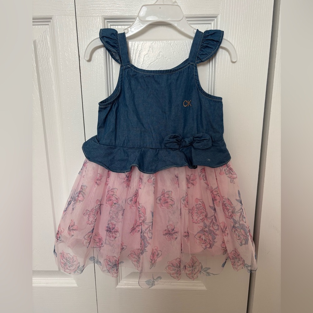 Calvin Klein Jeans Blue and Pink Dress